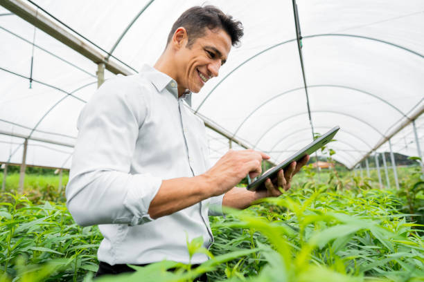 istock Brazilian man working and using technology in the field 1392205187