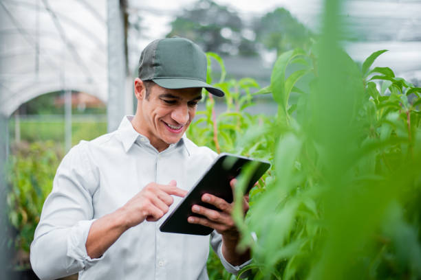 istock Brazilian man working and using technology in the field 1392205195