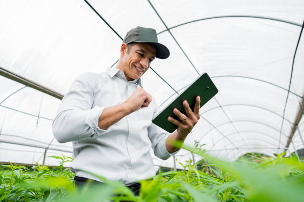 istock Brazilian man working and using technology in the field 1392205204