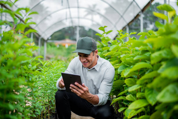 istock Brazilian man working and using technology in the field 1392205250