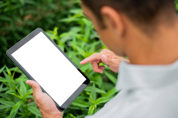 Brazilian man working and using technology in the field