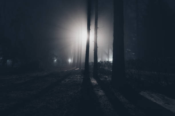 istock City park at night in fog 1392206470