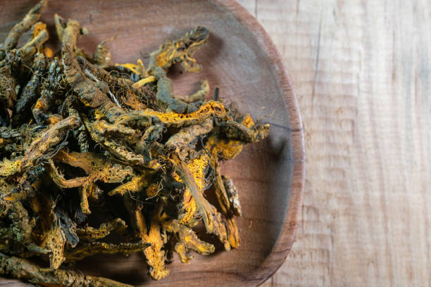 istock chinese medicine rhizoma coptidis on wooden table 1392207108
