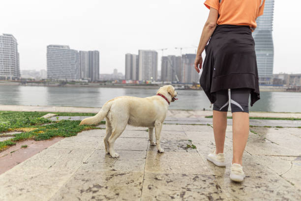 istock Best friends by the river 1392209308