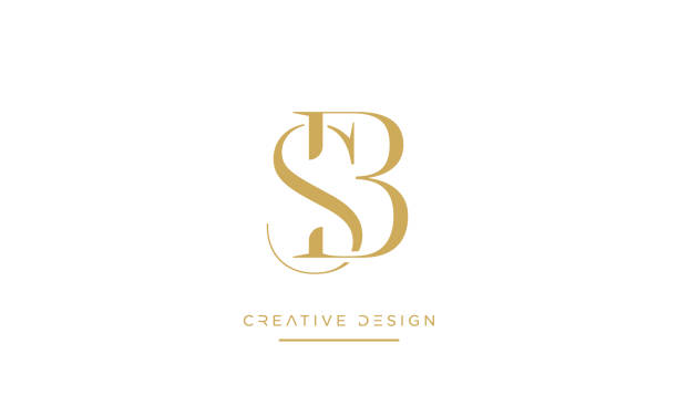 illustrations, cliparts, dessins animés et icônes de sb ou bs abstract icon logo de luxe icône monogramme - letter b