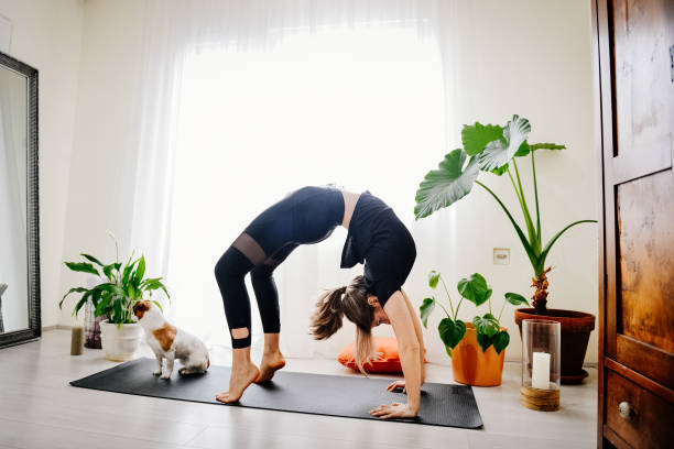 istock Young woman doing exercises at home with her dog 1392211966