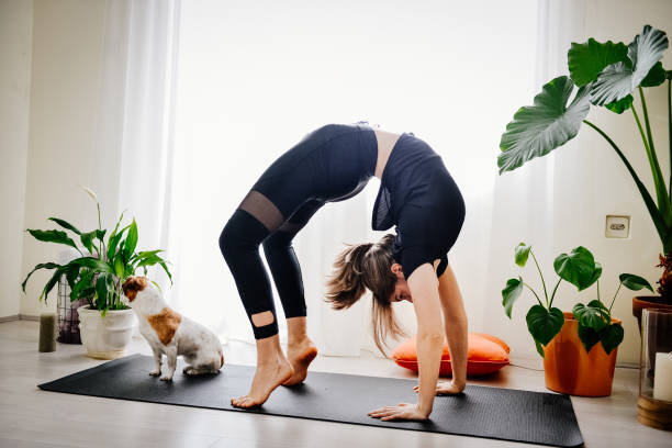 istock Young woman doing exercises at home with her dog 1392211967