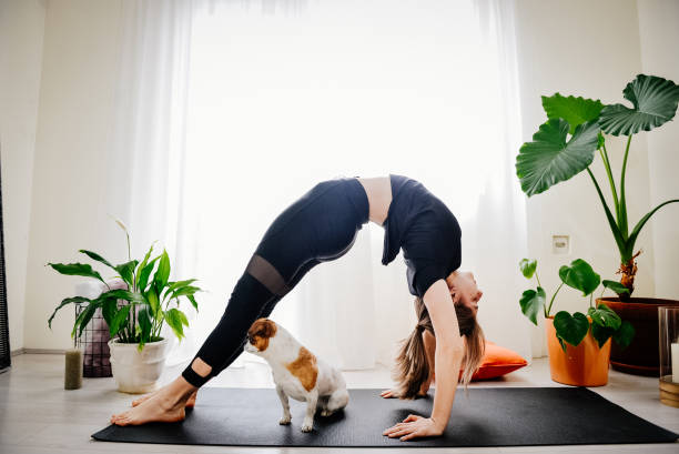 istock Young woman doing exercises at home with her dog 1392211969