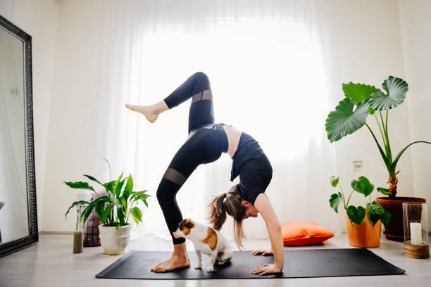 istock Young woman doing exercises at home with her dog 1392211973