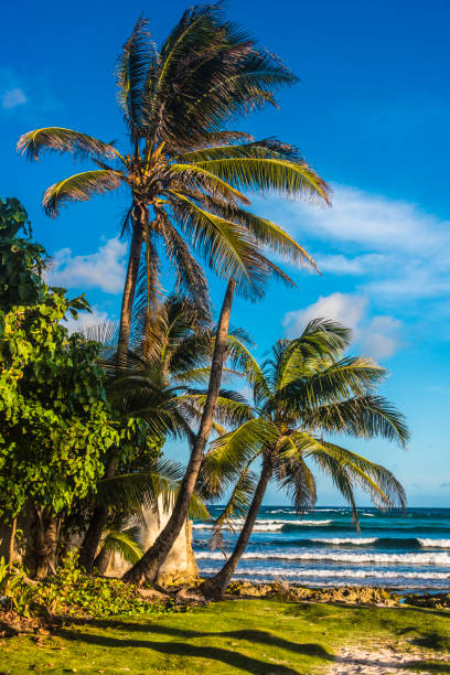 San Andres Island is a Colombian group of islands in the Caribbean Sea, with beautiful places and sands to rest