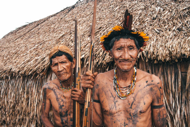 Men from the Arawete indigenous tribe in the Brazilian Amazon Cacique and senior member of the Arawete indigenous tribe in Brazil wearing a headdress feather cocar made of bird feathers, pierced ear with ear plug stretcher. Índios do Brasil, 2007. brazilian culture stock pictures, royalty-free photos & images