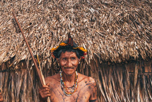 capo della tribù indigena arawete nell'amazzonia brasiliana - patriarchy foto e immagini stock