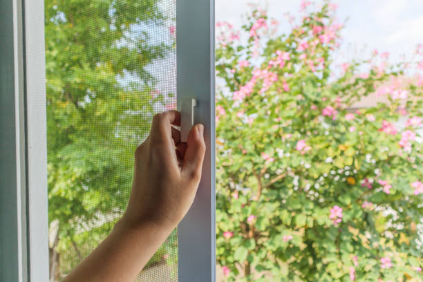 istock Hand hold mosquito net wire screen handle on house window 1392227448