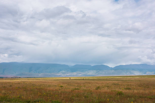 Scenic view of grass covered landscape against cloudy sky, Dalanzadgad, Mongolia.