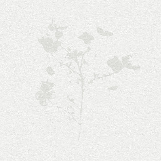 istock Delicate watercolor botanical digital paper floral background in soft basic nude beige tones. Neutral elegant pattern on white organic paper texture 1392234477