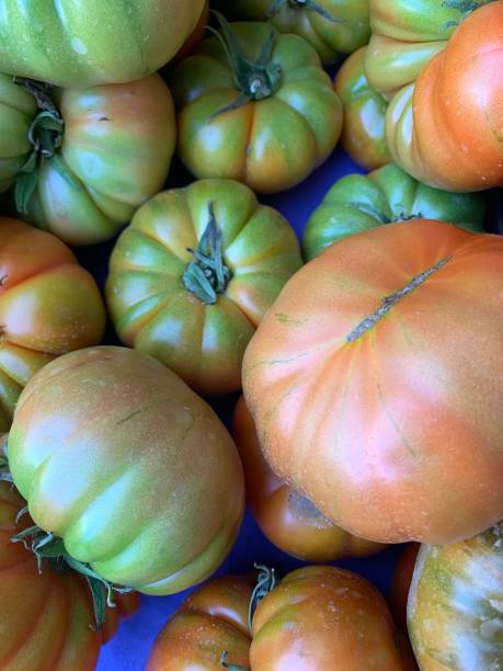 istock Green and red tomatoes background 1392234622