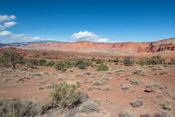 istock Capitol Reef National Park 1392235848