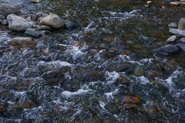 istock detail plan of a walk to the river 1392240815