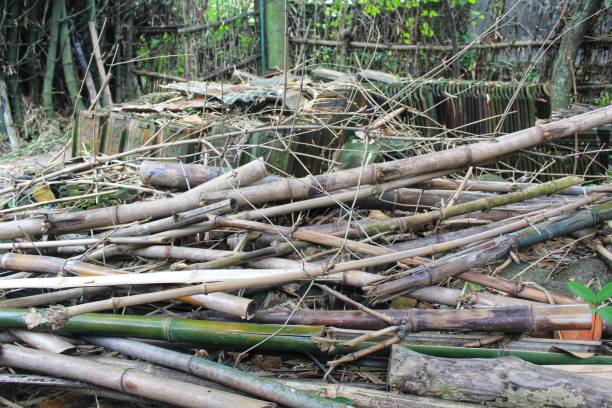 istock a lot of unused bamboo 1392240931