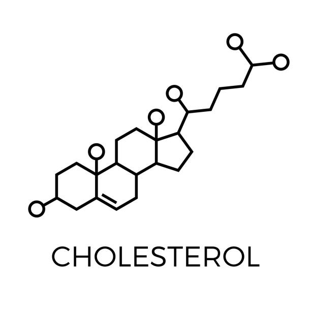Vector thin line icon of cholesterol molecular structure. Chemical formula Vector thin line icon of cholesterol molecular structure. Chemical formula colesterol stock illustrations