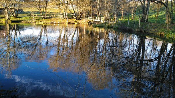 istock Garden pond, promenade, tree reflections. 1392254702