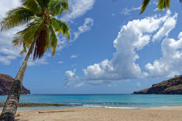 istock north coast of hiva oa 1392256991