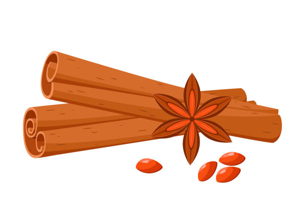 illustrations, cliparts, dessins animés et icônes de bâtons de cannelle avec de l’anis. - cinnamon