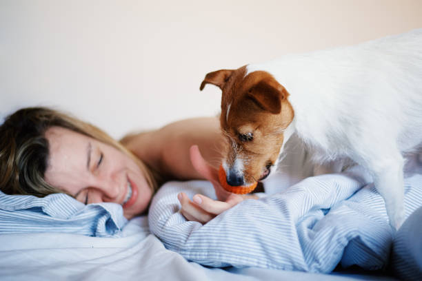istock Woman sleeping in bed and play with her dog 1392261236