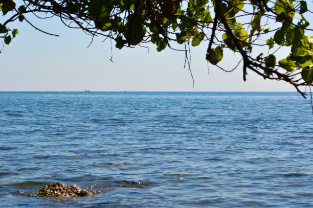 Countryside Tropical Beach View Under Hibiscus Tiliaceus Tree At Umeanyar, North Bali, Indonesia