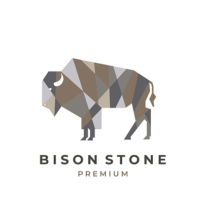 logo geometric color vector illustration of stones that make up a strong byson