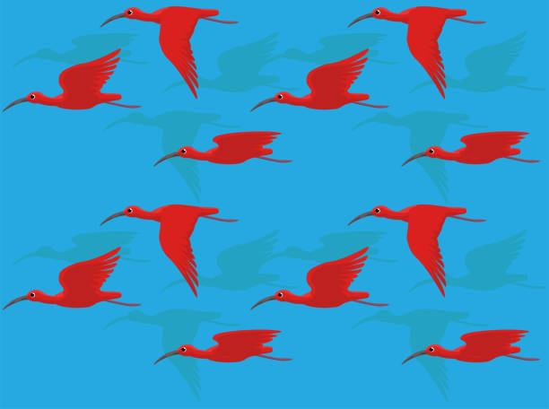 スカーレットアイビスフライングシームレス壁紙の背景 - scarlet ibis点のイラスト素材／クリップアート素材／マンガ素材／アイコン素材