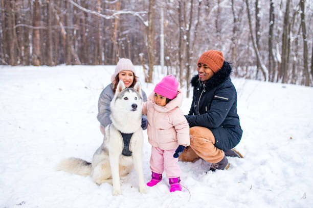 hombre afro con su esposa caucásica divirtiéndose con una hermosa hija jugando husky en un parque nevado - people dog winter cute fotografías e imágenes de stock