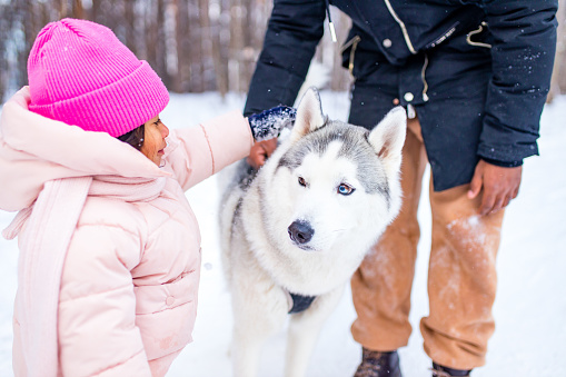 afro man with his caucasian wife having fun with a beautiful daughter playing husky in snowy park.