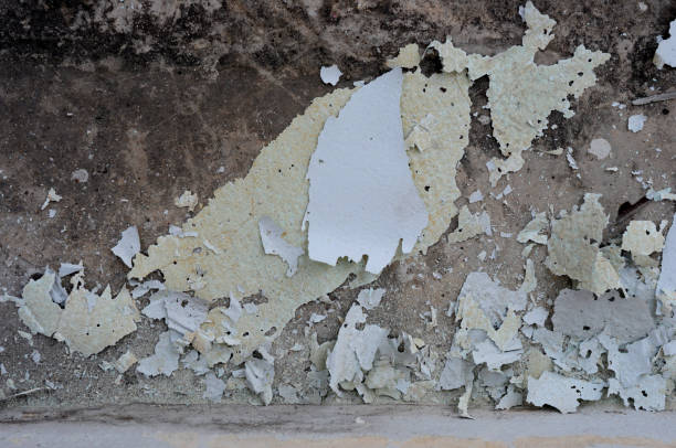 istock crack skin of concrete 1392275727