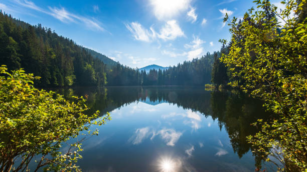 istock tranquil landscape with lake in summer 1392275875
