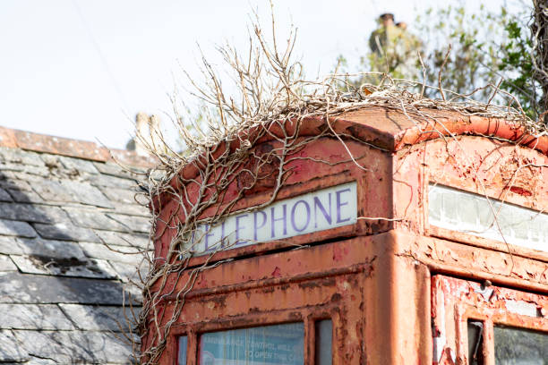 Old fashioned British telephone box, with peeling paint and covered in dead ivy, in a village