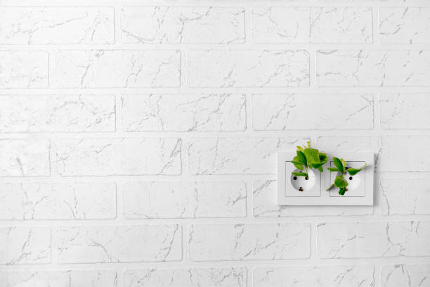istock A white double rosette on a white brick wall, a sprout sprouts from it. Renewable energy concept 1392277477