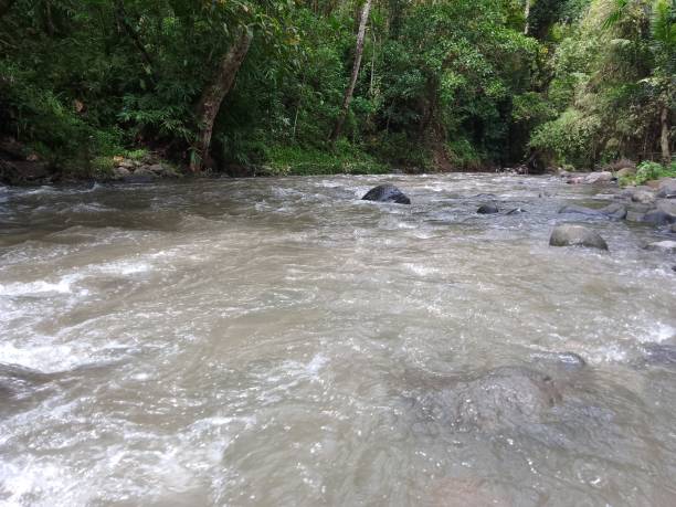 istock Rural Scenery Rocky River Flows Between Green Trees In The Morning At Ringdikit Village 1392278385