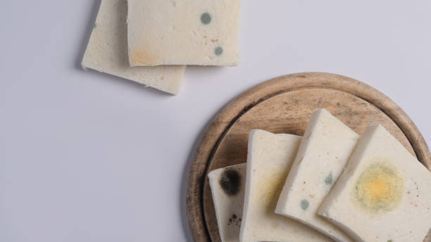 istock Moldy sliced bread, expired bread on white background. 1392278474