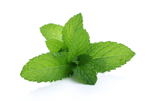 Mint leaves. Fresh mint on white background. Mint leaf isolated