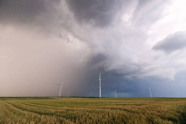 istock Wind farm on agricultural field under the overcast sky 1392281387