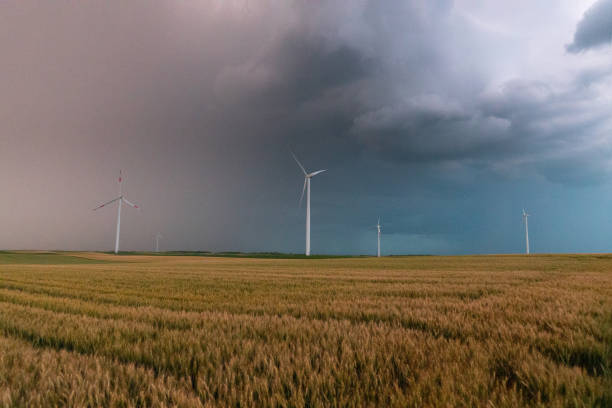 Wind turbines on agricultural field under the purple overcast sky, natural energy sources for sustainability, grain structure