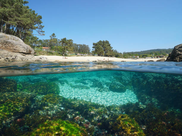 istock Beach on the Atlantic coast in Spain Galicia 1392281653