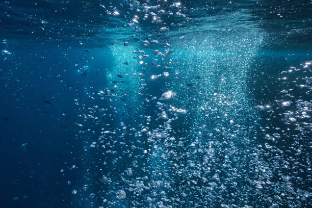 istock Air bubbles underwater in the ocean 1392282287