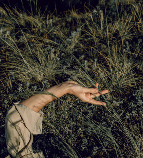 A woman's hand touching the grass at sunset. A woman in a fashionable shirt