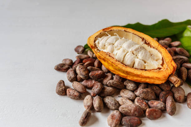 istock Half cacao pods and cacao fruit with brown cocoa   beans 1392284513