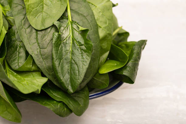 fresh green spinach on dish on ceramic