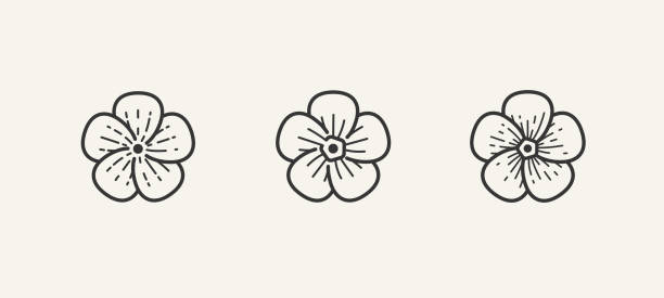 plant Flax flower. Set of 3 geometric shape. Modern linear design print. Modern abstract linear compositions and graphic design elements. flax crop stock illustrations