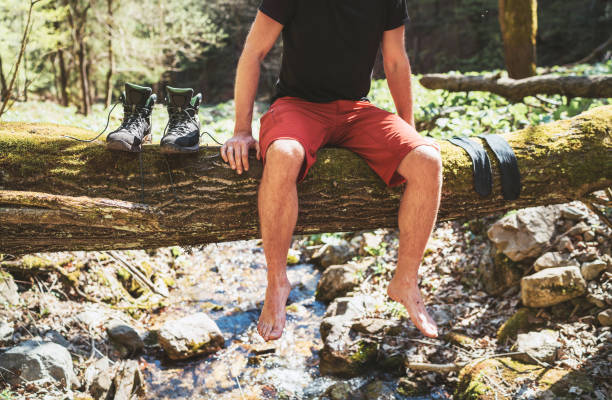 Free Stock Photo of Man Standing on Fallen Tree in Forest | Download ...