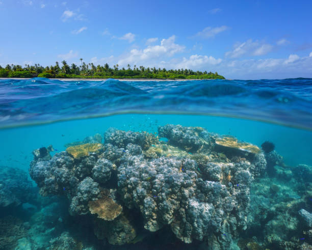 istock Coral reef tropical island seascape Pacific ocean 1392285683